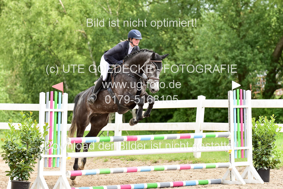 260520---Springpferde-A--_168.jpg