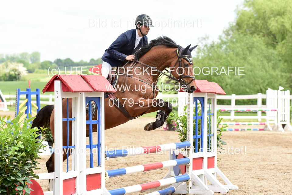 260520---Springpferde-A--_169.jpg