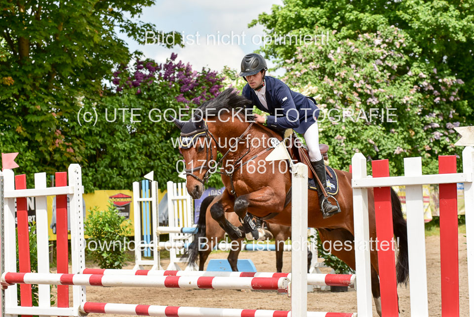 260520---Springpferde-A--_170.jpg