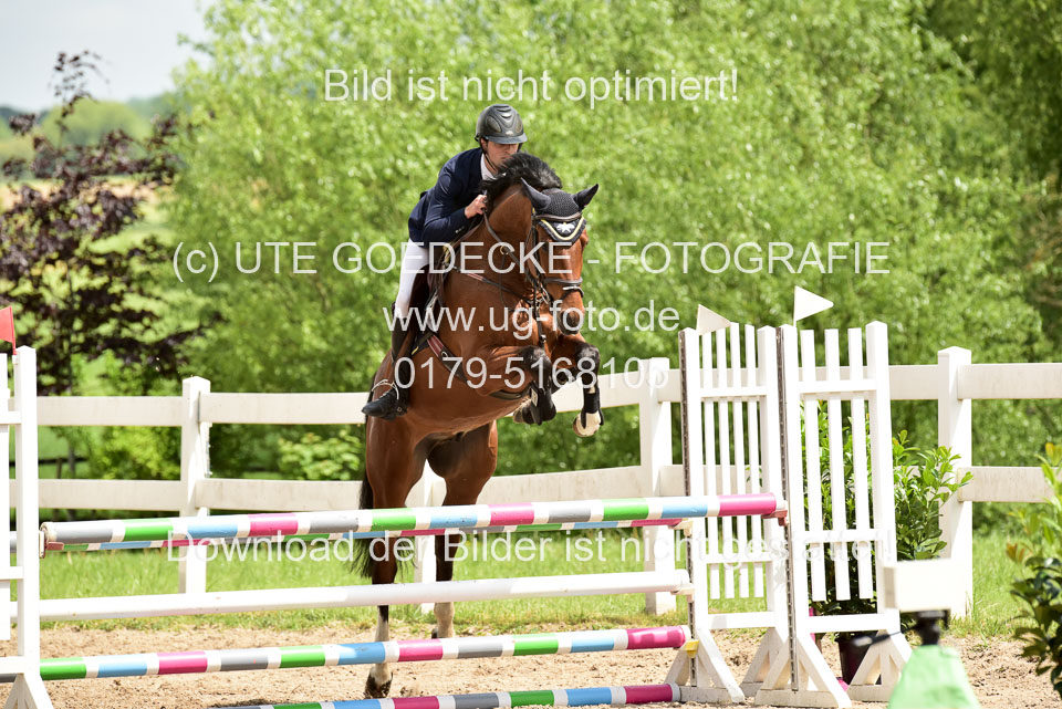 260520---Springpferde-A--_171.jpg