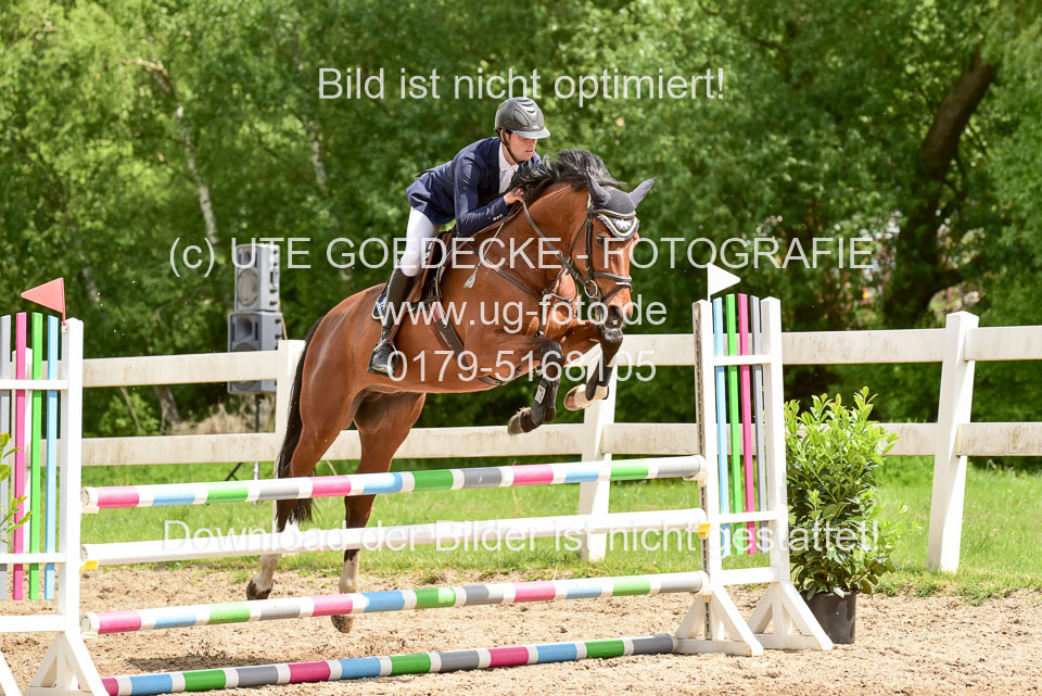 260520---Springpferde-A--_172.jpg