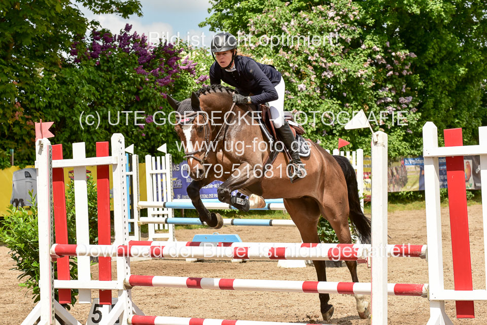 260520---Springpferde-A--_173.jpg