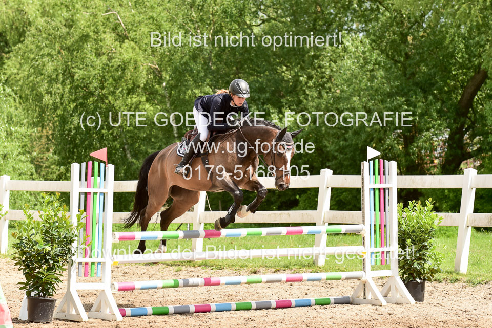 260520---Springpferde-A--_175.jpg