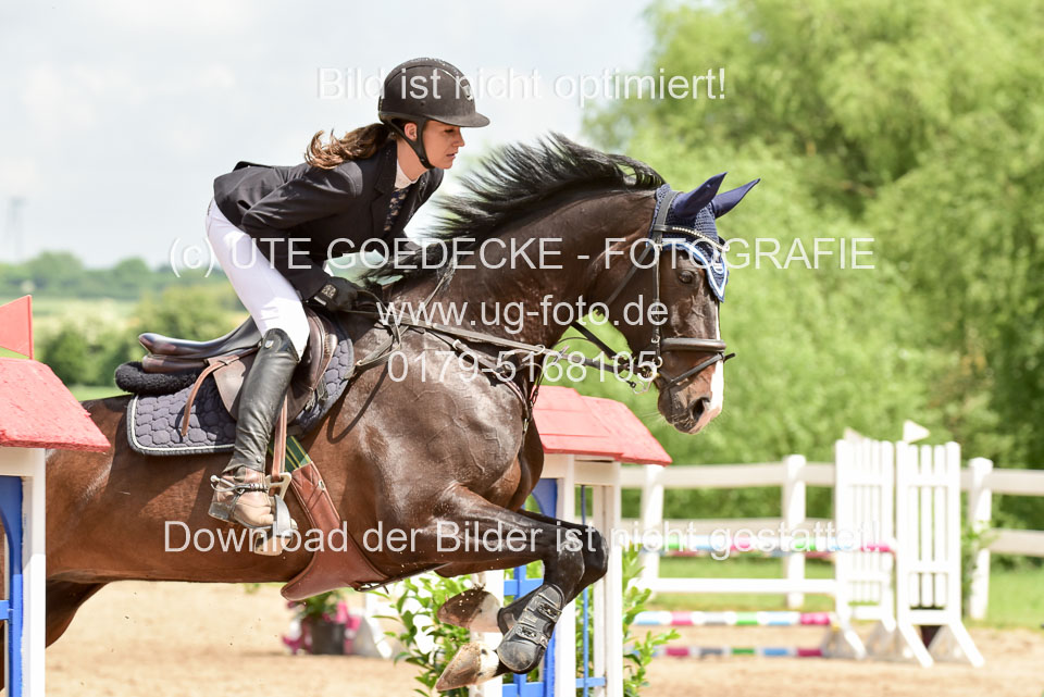 260520---Springpferde-A--_176.jpg