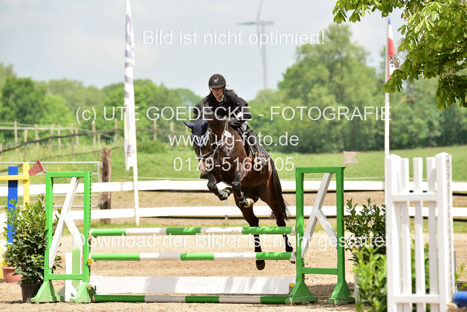 260520---Springpferde-A--_177.jpg
