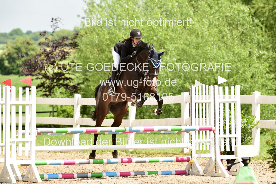 260520---Springpferde-A--_178.jpg