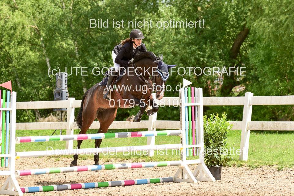 260520---Springpferde-A--_179.jpg