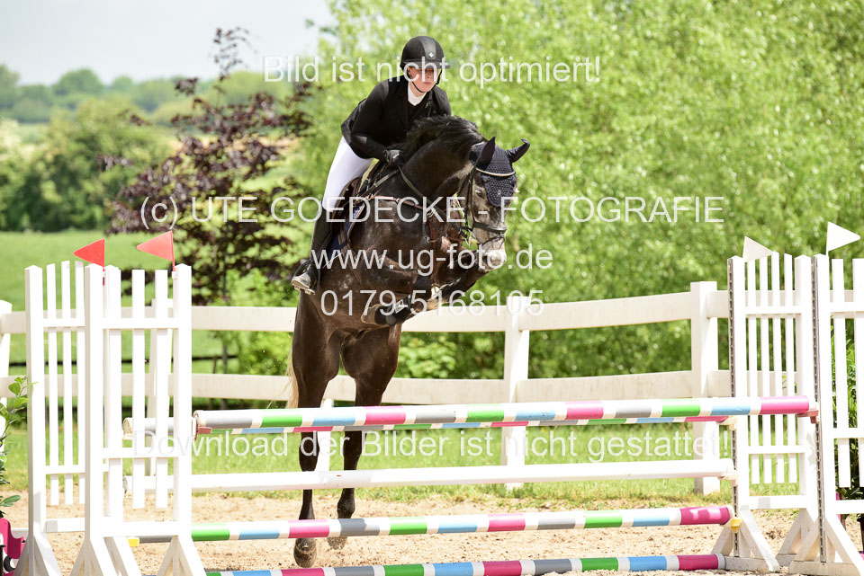 260520---Springpferde-A--_180.jpg