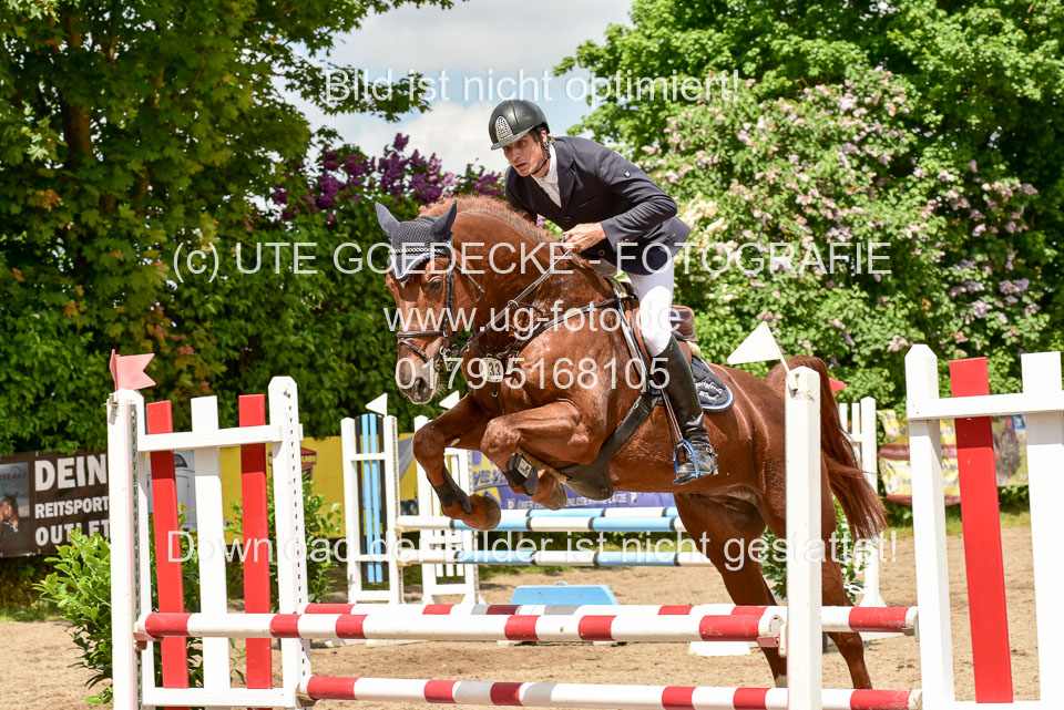 260520---Springpferde-A--_182.jpg
