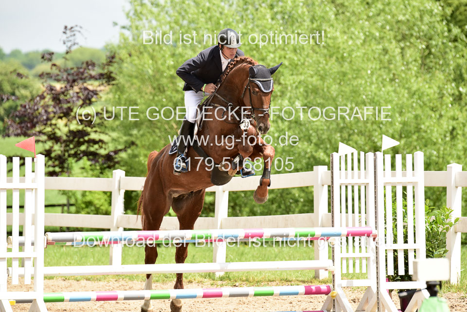 260520---Springpferde-A--_183.jpg
