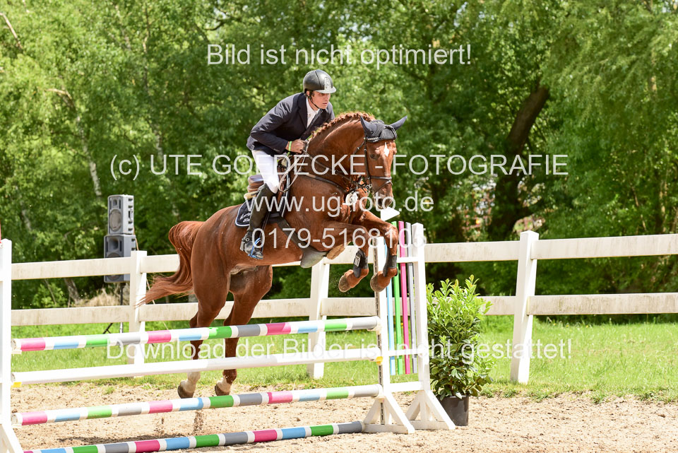 260520---Springpferde-A--_184.jpg