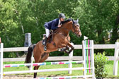 260520---Springpferde-A--_109.jpg