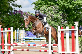 260520---Springpferde-A--_113.jpg