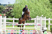 260520---Springpferde-A--_114.jpg