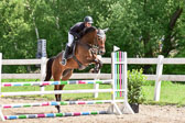 260520---Springpferde-A--_115.jpg