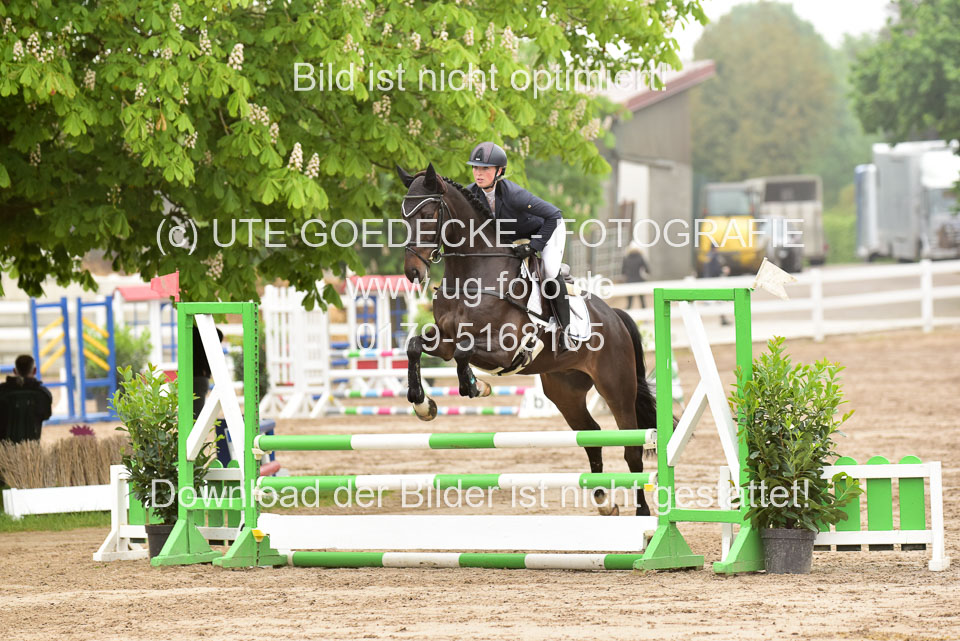 260520-Springpferde-A-_003.jpg