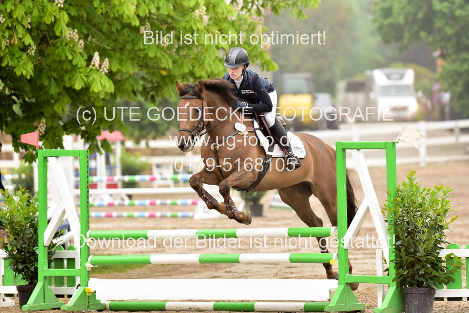 260520-Springpferde-A-_006.jpg