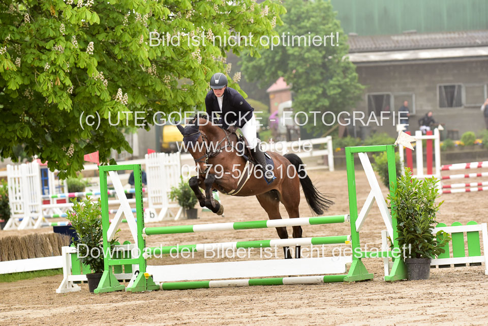 260520-Springpferde-A-_010.jpg