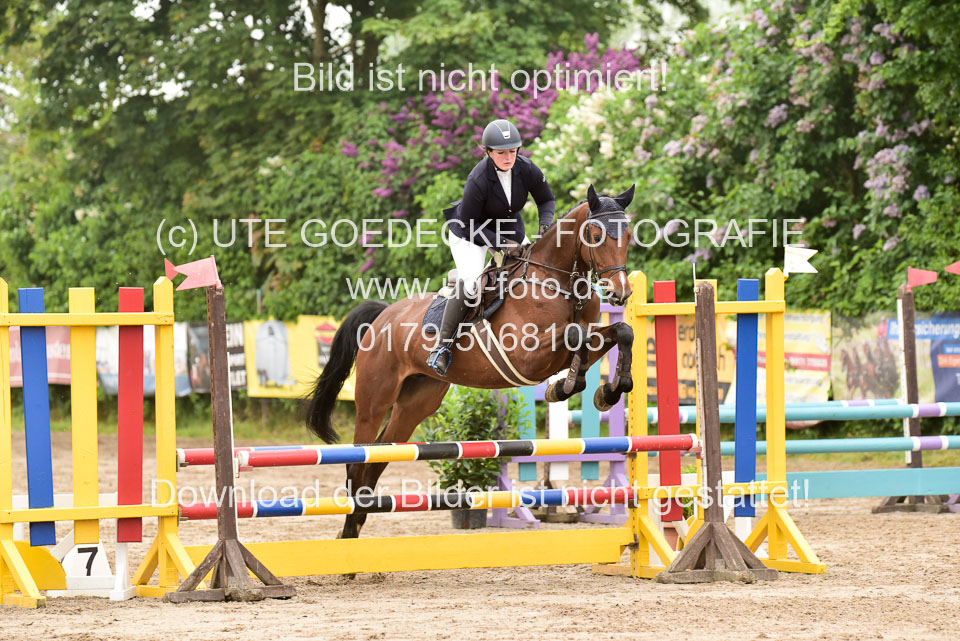 260520-Springpferde-A-_011.jpg