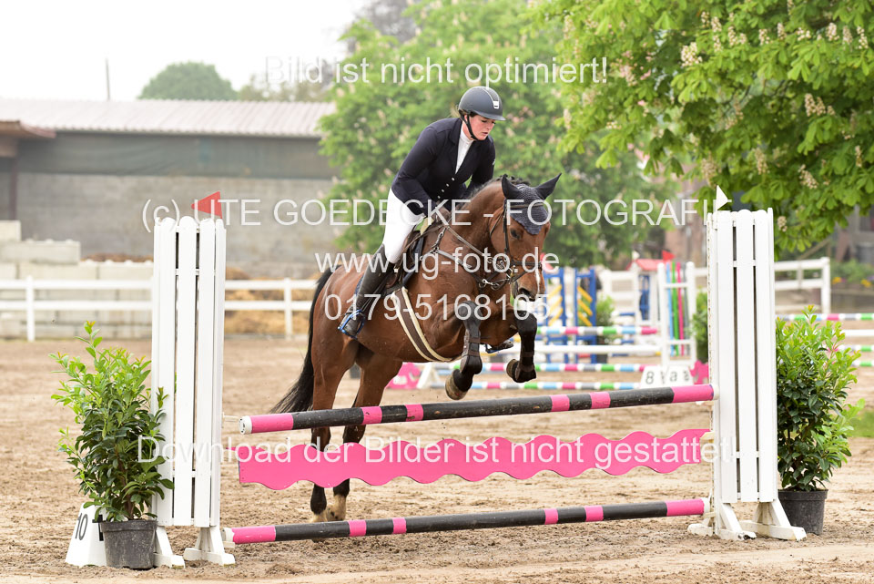 260520-Springpferde-A-_012.jpg
