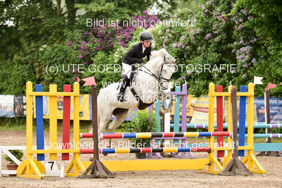 260520-Springpferde-A-_014.jpg