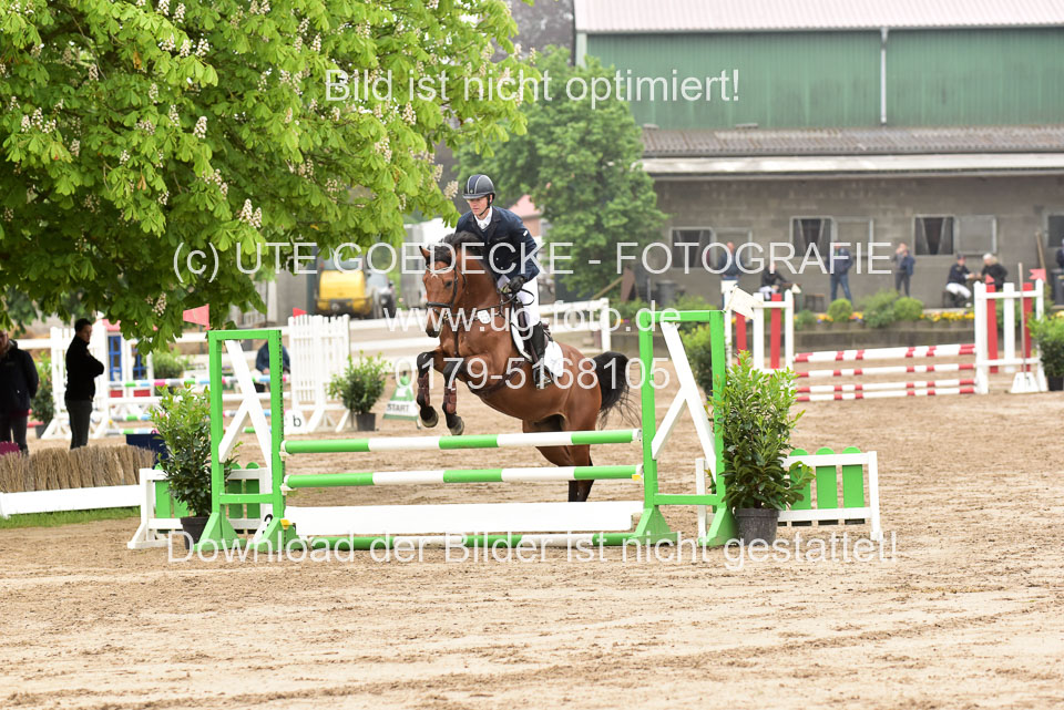 260520-Springpferde-A-_016.jpg