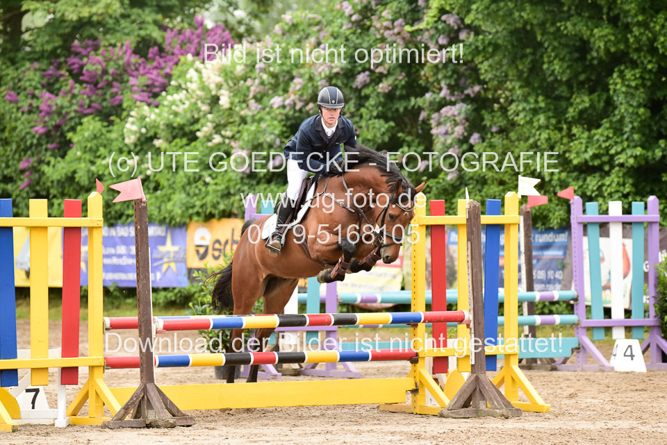 260520-Springpferde-A-_017.jpg