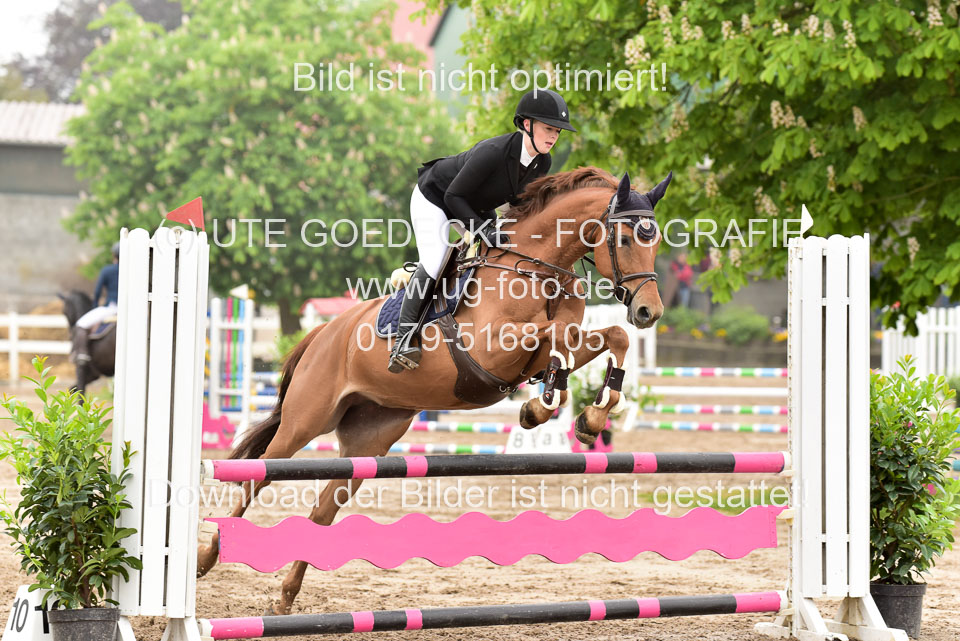 260520-Springpferde-A-_020.jpg