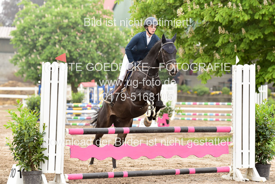 260520-Springpferde-A-_023.jpg