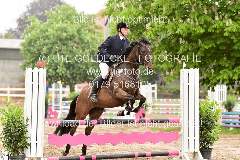 260520-Springpferde-A-_026.jpg