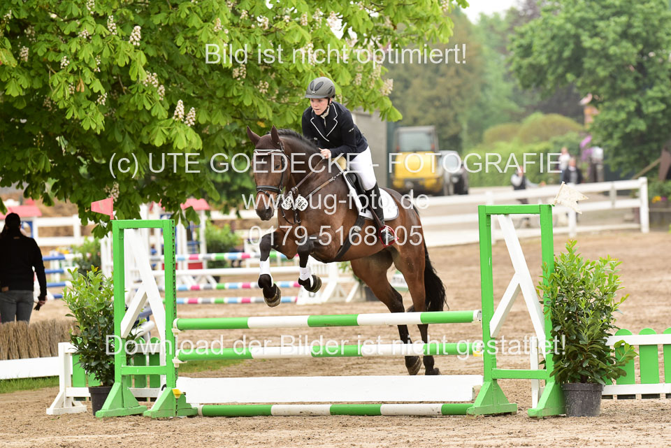 260520-Springpferde-A-_027.jpg