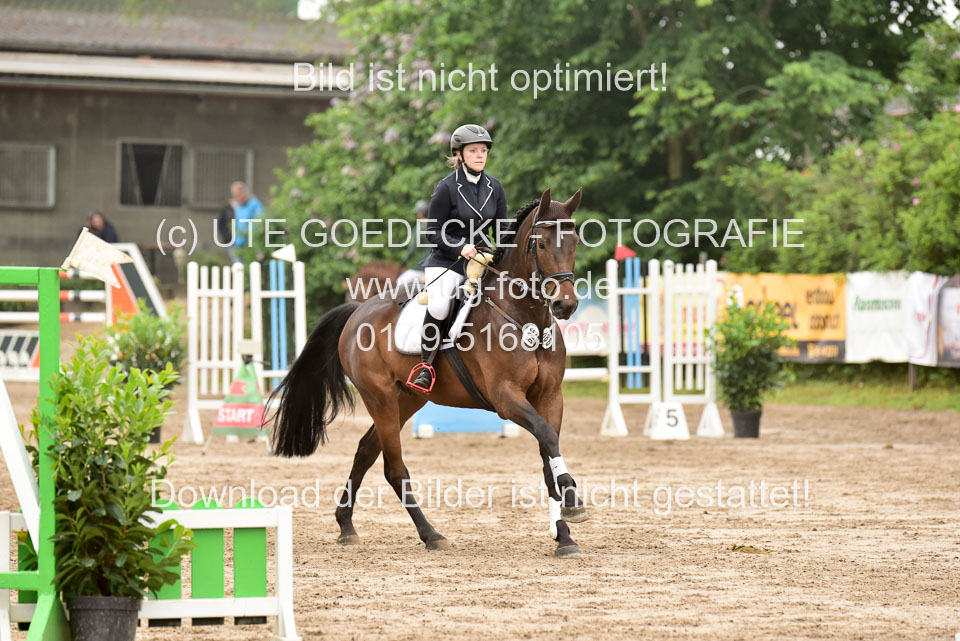 260520-Springpferde-A-_028.jpg