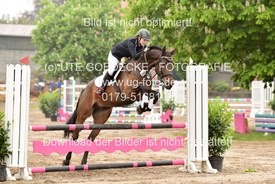 260520-Springpferde-A-_030.jpg