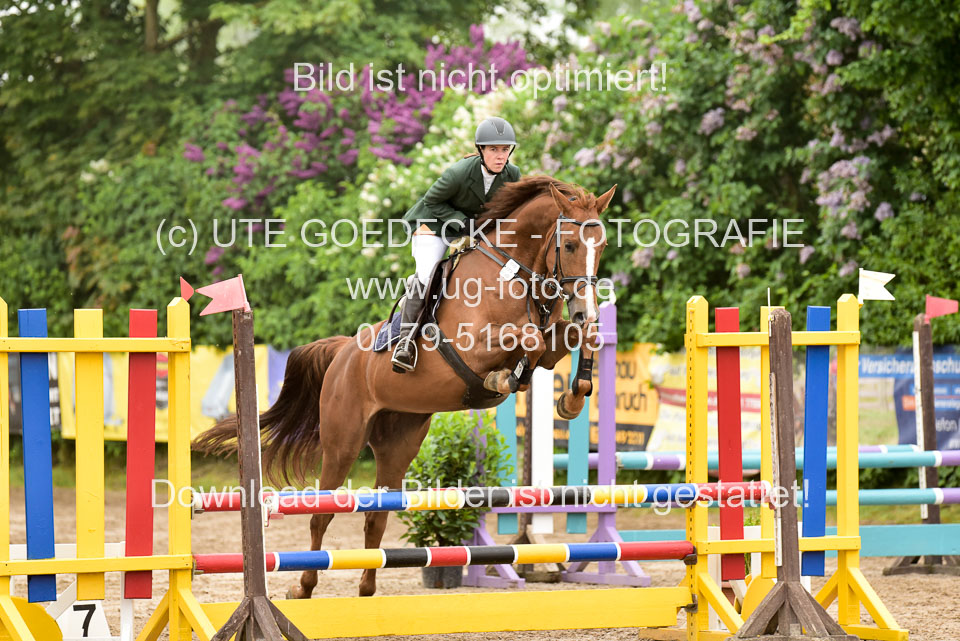 260520-Springpferde-A-_031.jpg