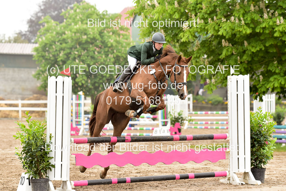 260520-Springpferde-A-_032.jpg