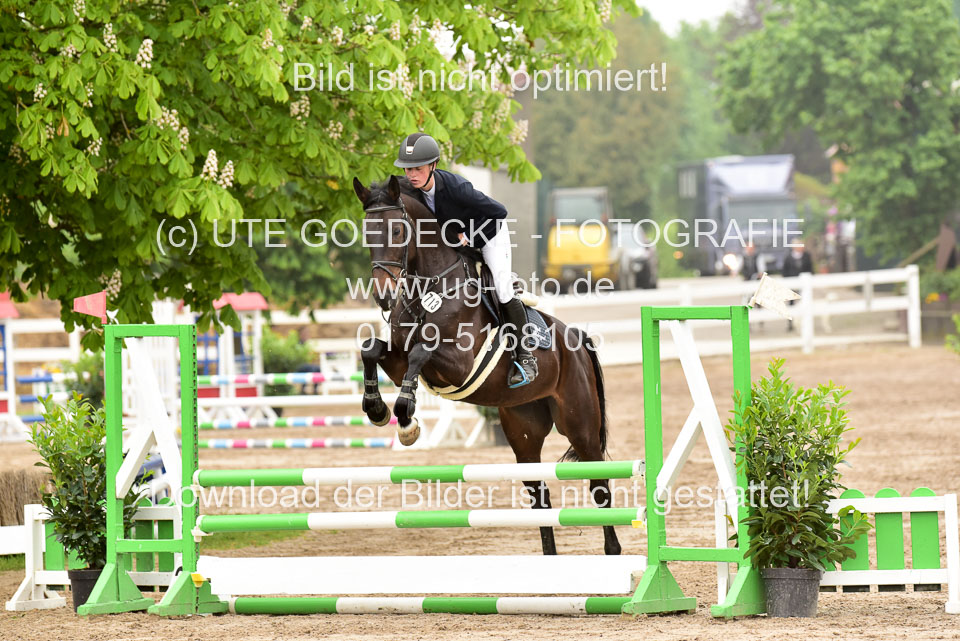 260520-Springpferde-A-_033.jpg