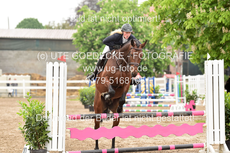 260520-Springpferde-A-_039.jpg