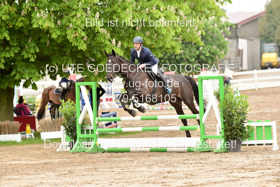 260520-Springpferde-A-_040.jpg