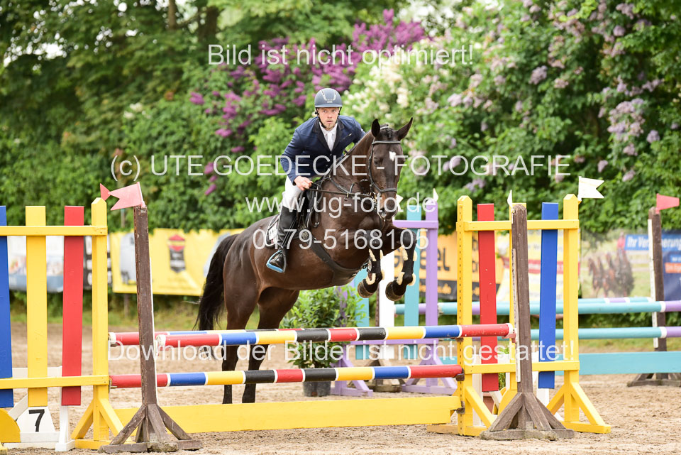260520-Springpferde-A-_042.jpg
