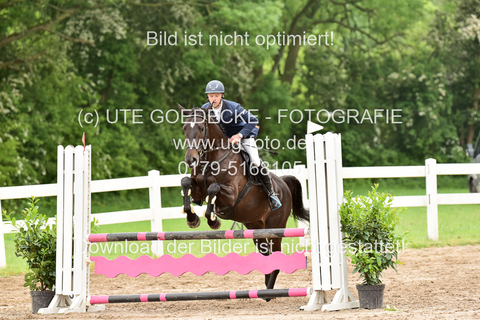 260520-Springpferde-A-_043.jpg