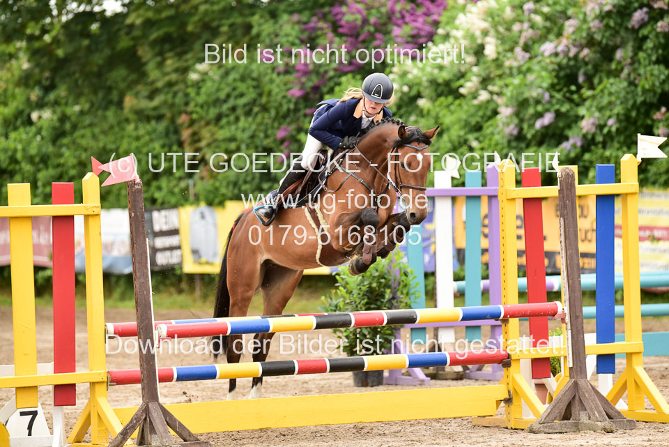 260520-Springpferde-A-_045.jpg