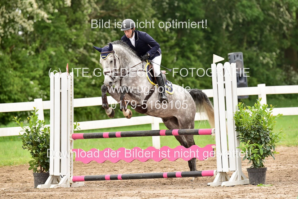 260520-Springpferde-A-_049.jpg