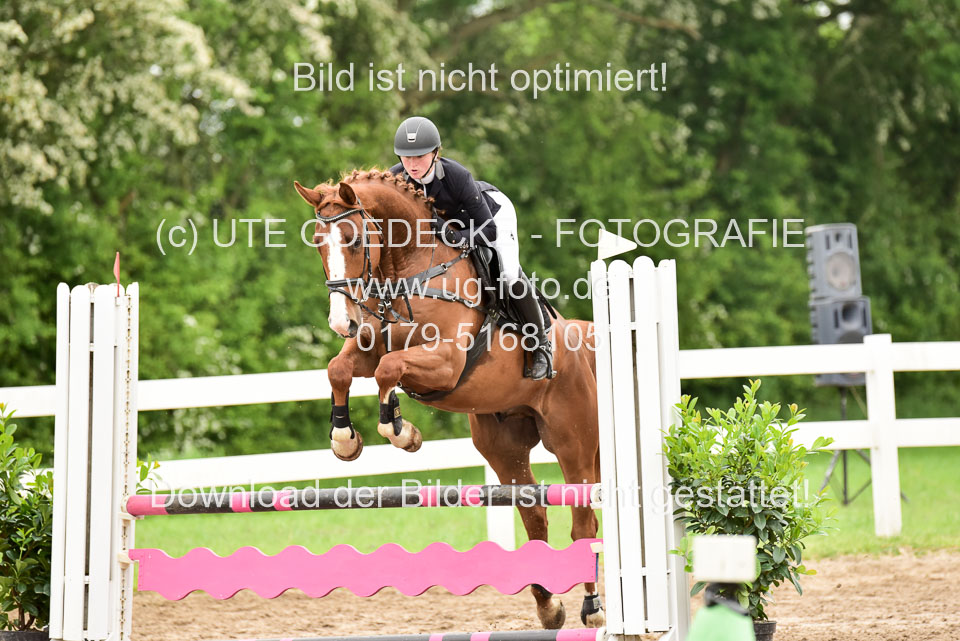 260520-Springpferde-A-_051.jpg