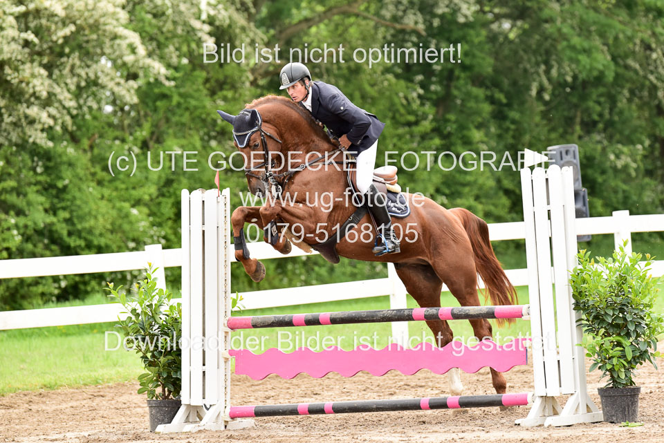 260520-Springpferde-A-_053.jpg