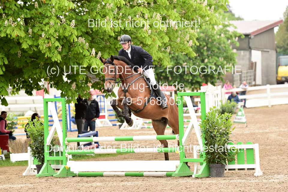 260520-Springpferde-A-_054.jpg