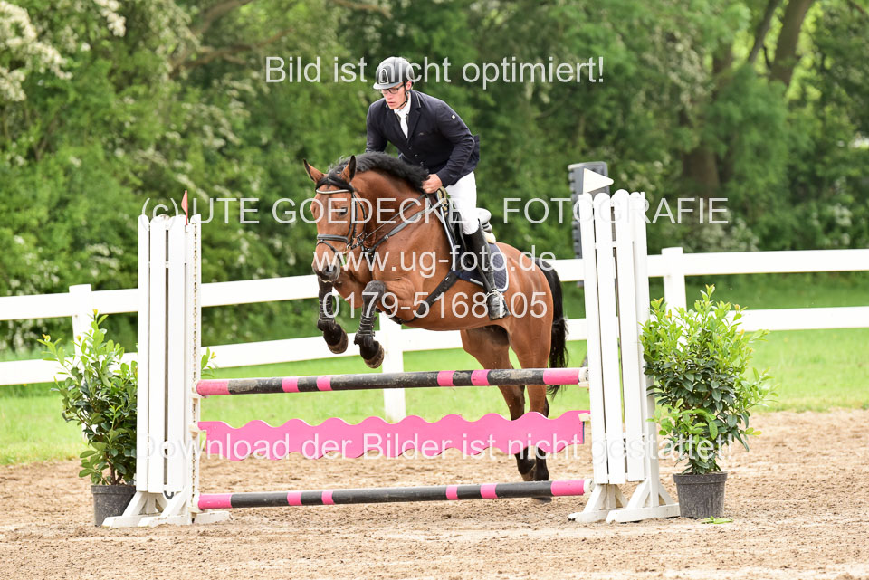 260520-Springpferde-A-_056.jpg