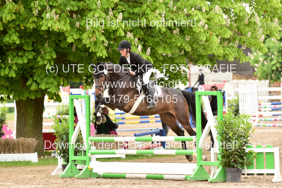 260520-Springpferde-A-_057.jpg