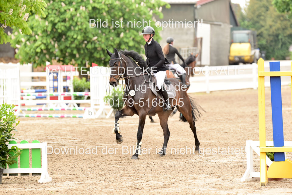 260520-Springpferde-A-_060.jpg