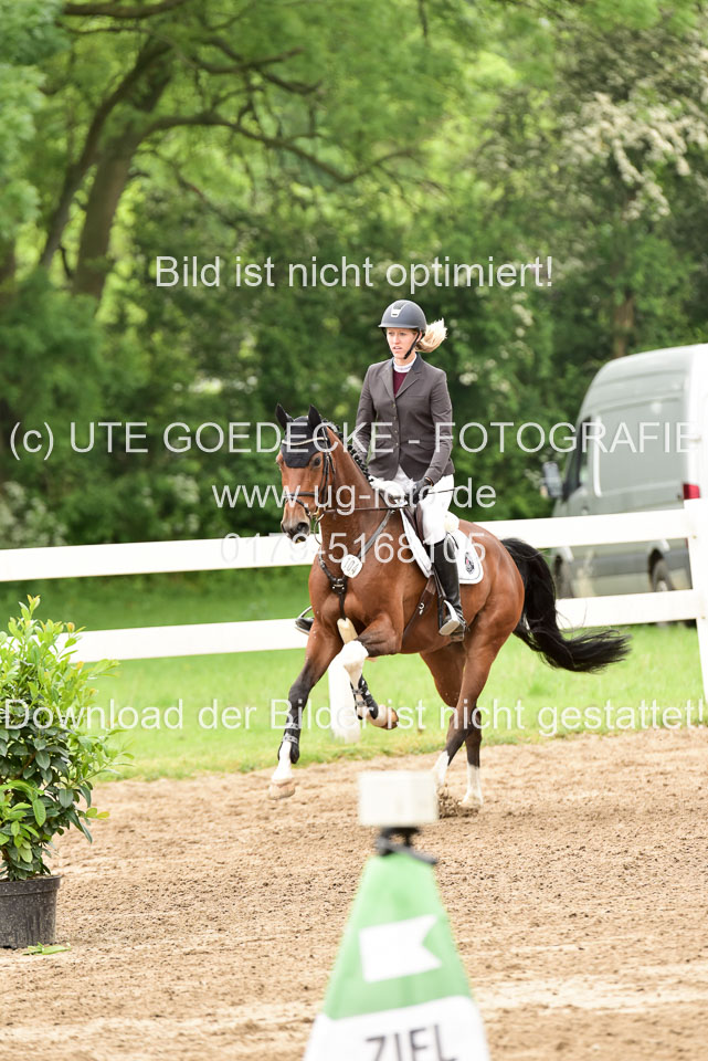 260520-Springpferde-A-_074.jpg