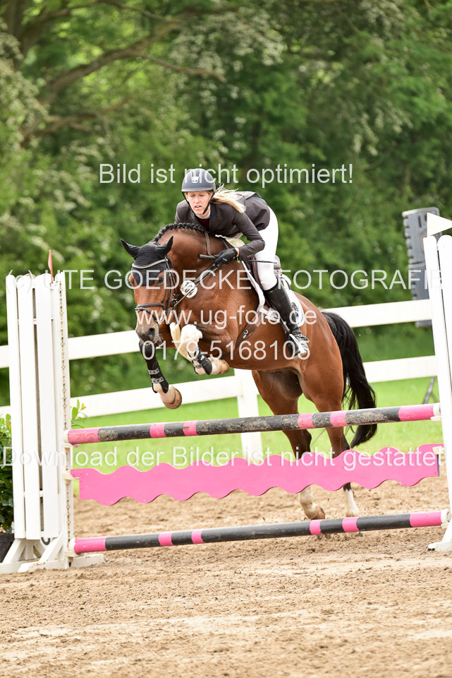 260520-Springpferde-A-_075.jpg